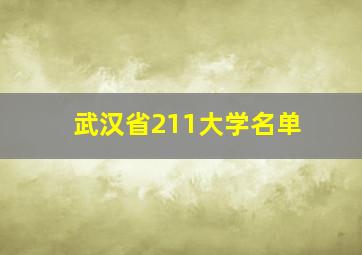 武汉省211大学名单