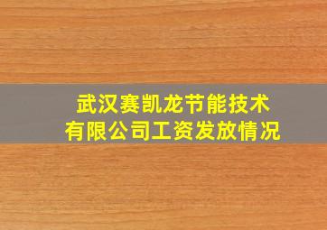 武汉赛凯龙节能技术有限公司工资发放情况