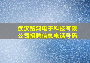 武汉铭鸿电子科技有限公司招聘信息电话号码