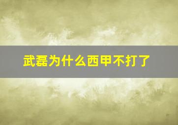 武磊为什么西甲不打了