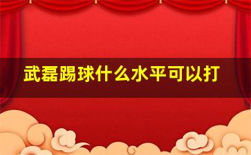 武磊踢球什么水平可以打