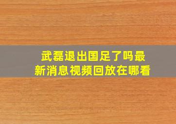 武磊退出国足了吗最新消息视频回放在哪看