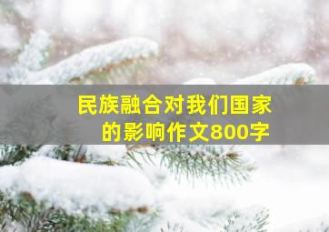 民族融合对我们国家的影响作文800字