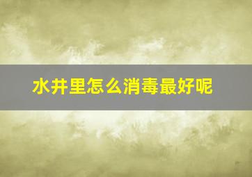 水井里怎么消毒最好呢