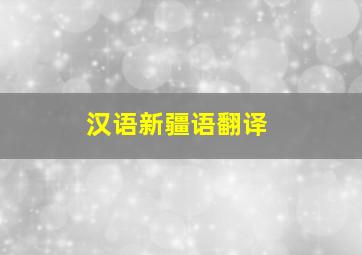 汉语新疆语翻译