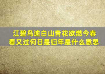 江碧鸟逾白山青花欲燃今春看又过何日是归年是什么意思