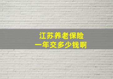 江苏养老保险一年交多少钱啊