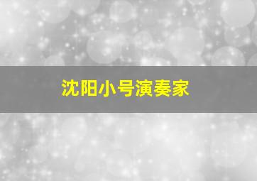 沈阳小号演奏家