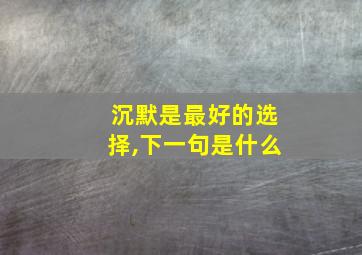 沉默是最好的选择,下一句是什么