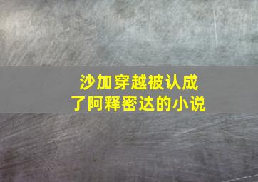 沙加穿越被认成了阿释密达的小说