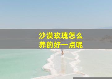 沙漠玫瑰怎么养的好一点呢