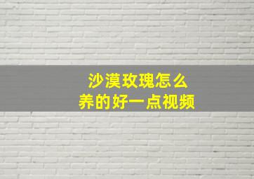 沙漠玫瑰怎么养的好一点视频