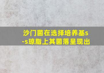 沙门菌在选择培养基s-s琼脂上其菌落呈现出