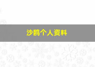 沙鸥个人资料