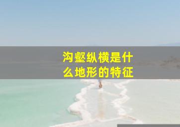 沟壑纵横是什么地形的特征