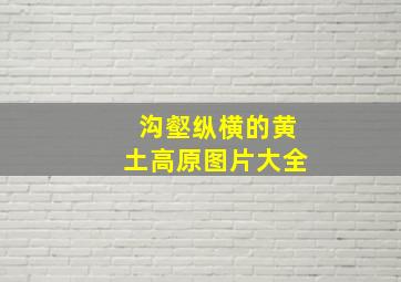 沟壑纵横的黄土高原图片大全