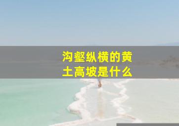 沟壑纵横的黄土高坡是什么