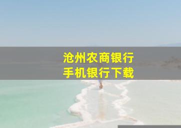 沧州农商银行手机银行下载