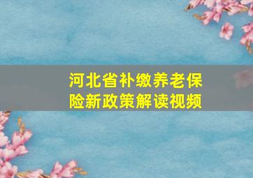 河北省补缴养老保险新政策解读视频