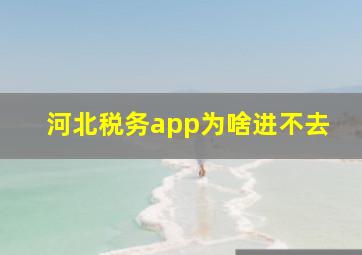 河北税务app为啥进不去