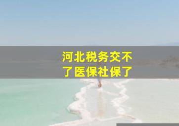 河北税务交不了医保社保了