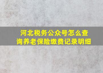 河北税务公众号怎么查询养老保险缴费记录明细