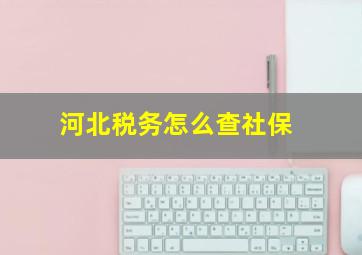 河北税务怎么查社保