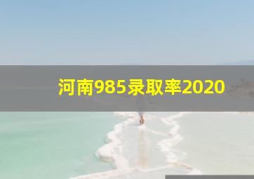 河南985录取率2020