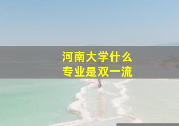 河南大学什么专业是双一流