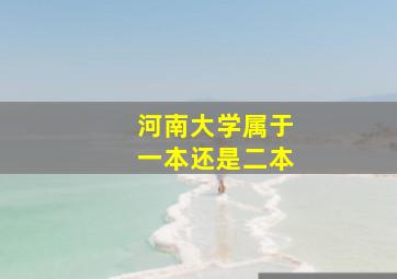 河南大学属于一本还是二本