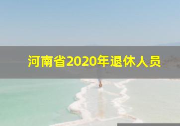 河南省2020年退休人员