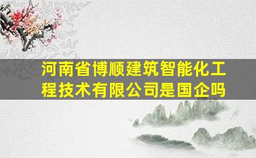 河南省博顺建筑智能化工程技术有限公司是国企吗