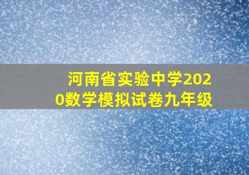 河南省实验中学2020数学模拟试卷九年级