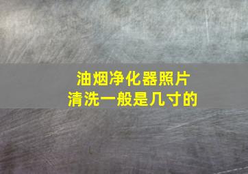 油烟净化器照片清洗一般是几寸的