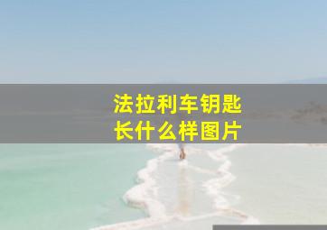 法拉利车钥匙长什么样图片