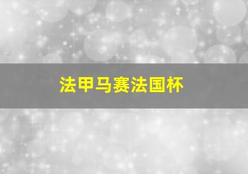 法甲马赛法国杯