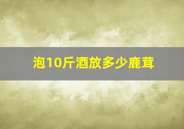 泡10斤酒放多少鹿茸