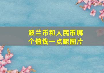 波兰币和人民币哪个值钱一点呢图片