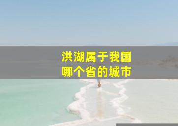 洪湖属于我国哪个省的城市