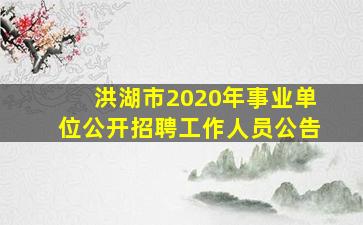 洪湖市2020年事业单位公开招聘工作人员公告