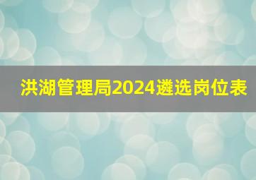 洪湖管理局2024遴选岗位表