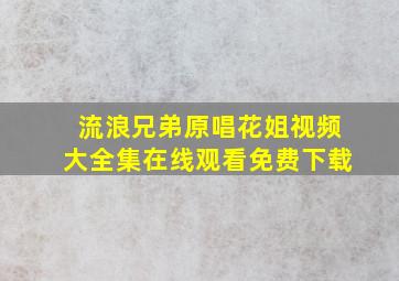 流浪兄弟原唱花姐视频大全集在线观看免费下载