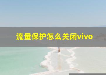 流量保护怎么关闭vivo