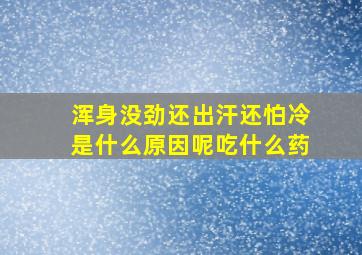 浑身没劲还出汗还怕冷是什么原因呢吃什么药