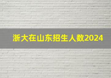 浙大在山东招生人数2024