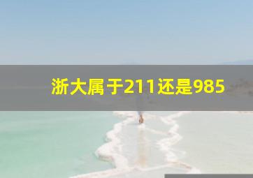 浙大属于211还是985