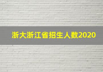 浙大浙江省招生人数2020