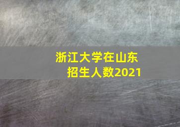 浙江大学在山东招生人数2021