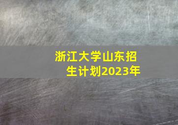 浙江大学山东招生计划2023年