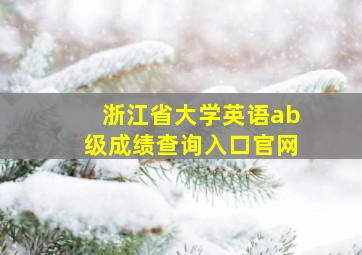 浙江省大学英语ab级成绩查询入口官网